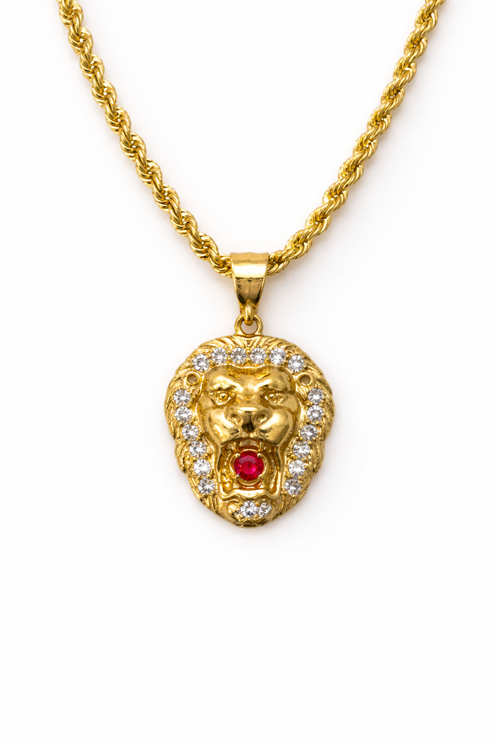 10K Gold Hollow Rope Chain Set with Lion Pendant
