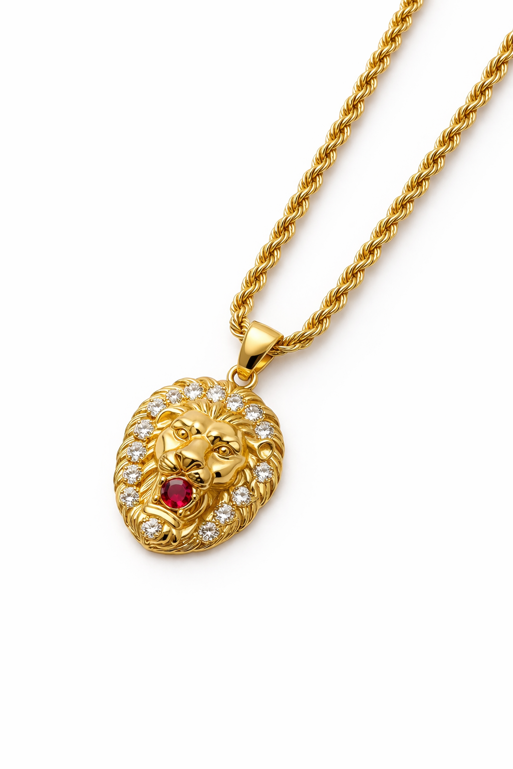 10K Gold Hollow Rope Chain Set with Lion Pendant